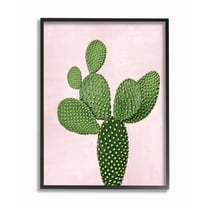 Stupell Industries Prickly Cactus Dessert Plant Nature Succulent Pink Green Framed Wall Art Design by Mia Jensen, 11" x 14", Black Framed