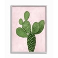 thumbnail image 1 of Stupell Industries Prickly Cactus Dessert Plant Nature Succulent Pink Green Framed Wall Art Design by Mia Jensen, 16" x 20", Gray Framed, 1 of 5