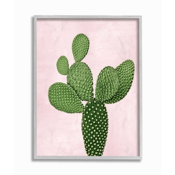 Stupell Industries Prickly Cactus Dessert Plant Nature Succulent Pink Green Framed Wall Art Design by Mia Jensen, 16" x 20", Gray Framed