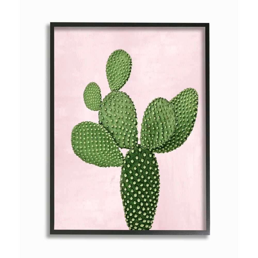 Stupell Industries Prickly Cactus Dessert Plant Nature Succulent Pink Green Framed Wall Art Design by Mia Jensen, 24" x 30", Black Framed