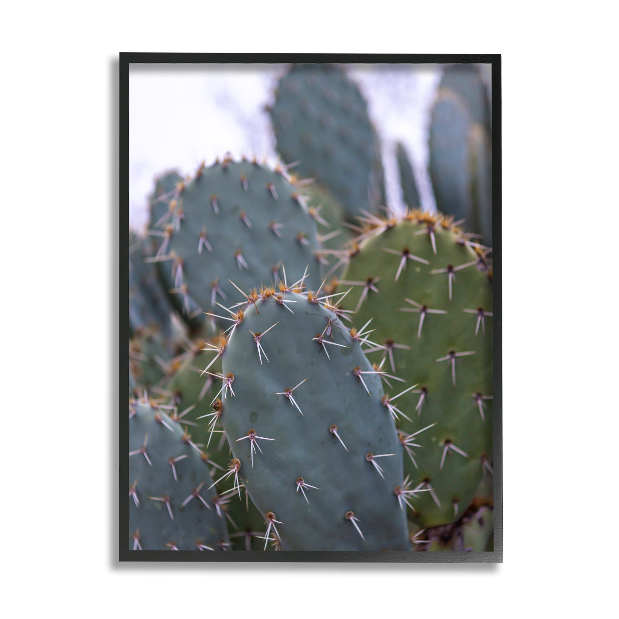 Stupell Industries Prickly Cactus Thorns Close Up Photography Desert Vegetation Photograph Black Framed Art Print Wall Art, Design by Jeff Poe Photography