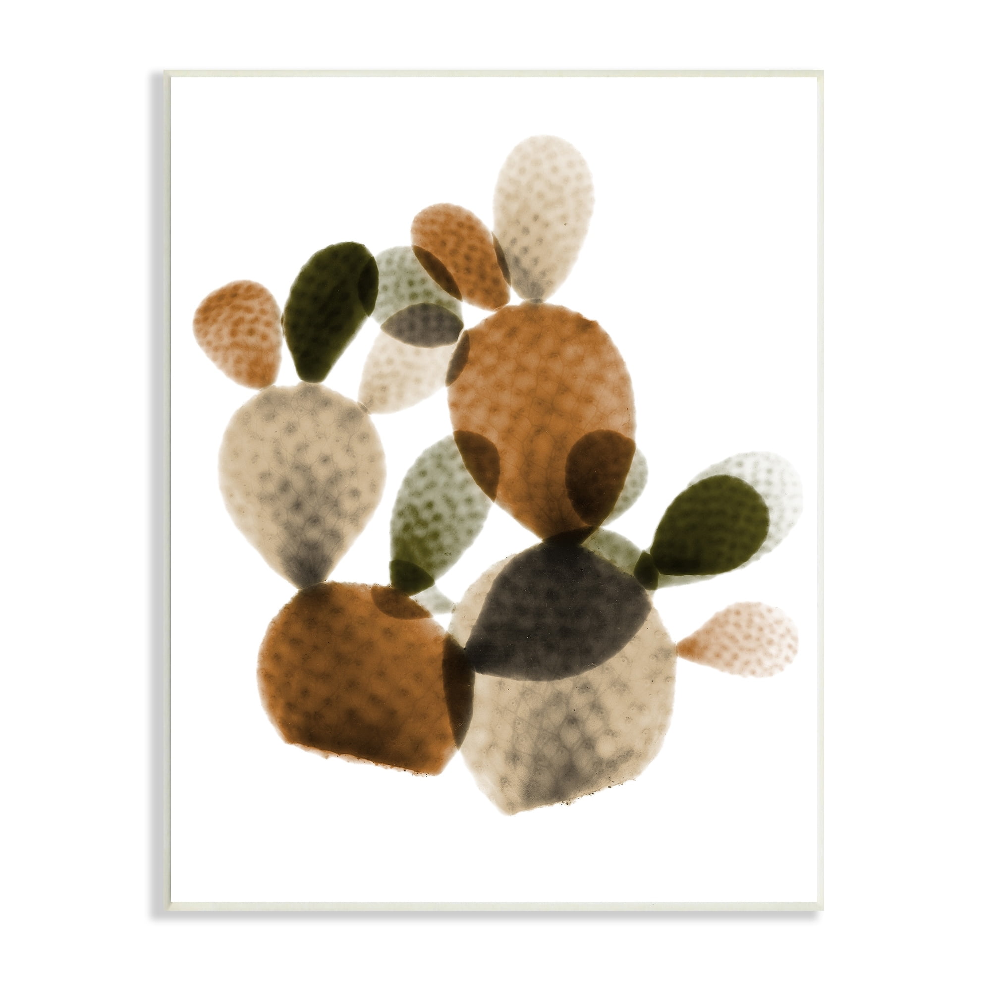 Stupell Industries Prickly Pear Cactus Plants Layered Green Brown Succulents, 10 x 15,Design by Albert Koetsier