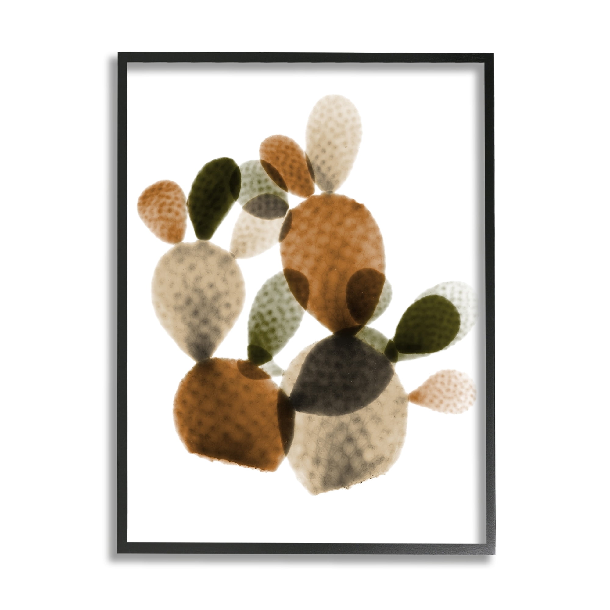 Stupell Industries Prickly Pear Cactus Plants Layered Green Brown Succulents, 11 x 14,Design by Albert Koetsier