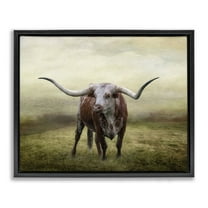 Stupell Industries Pride Of The Longhorn Animals & Insects Photography Black Floater Framed Canvas Art Print Wall Art, 21 x 17