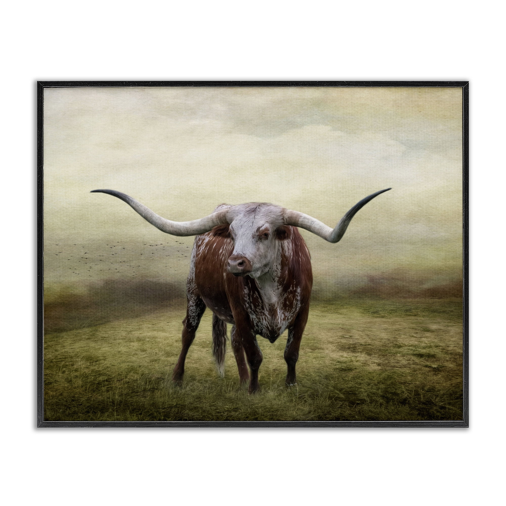Stupell Industries Pride Of The Longhorn Animals & Insects Photography Black Framed Art Print Wall Art, 30 x 24