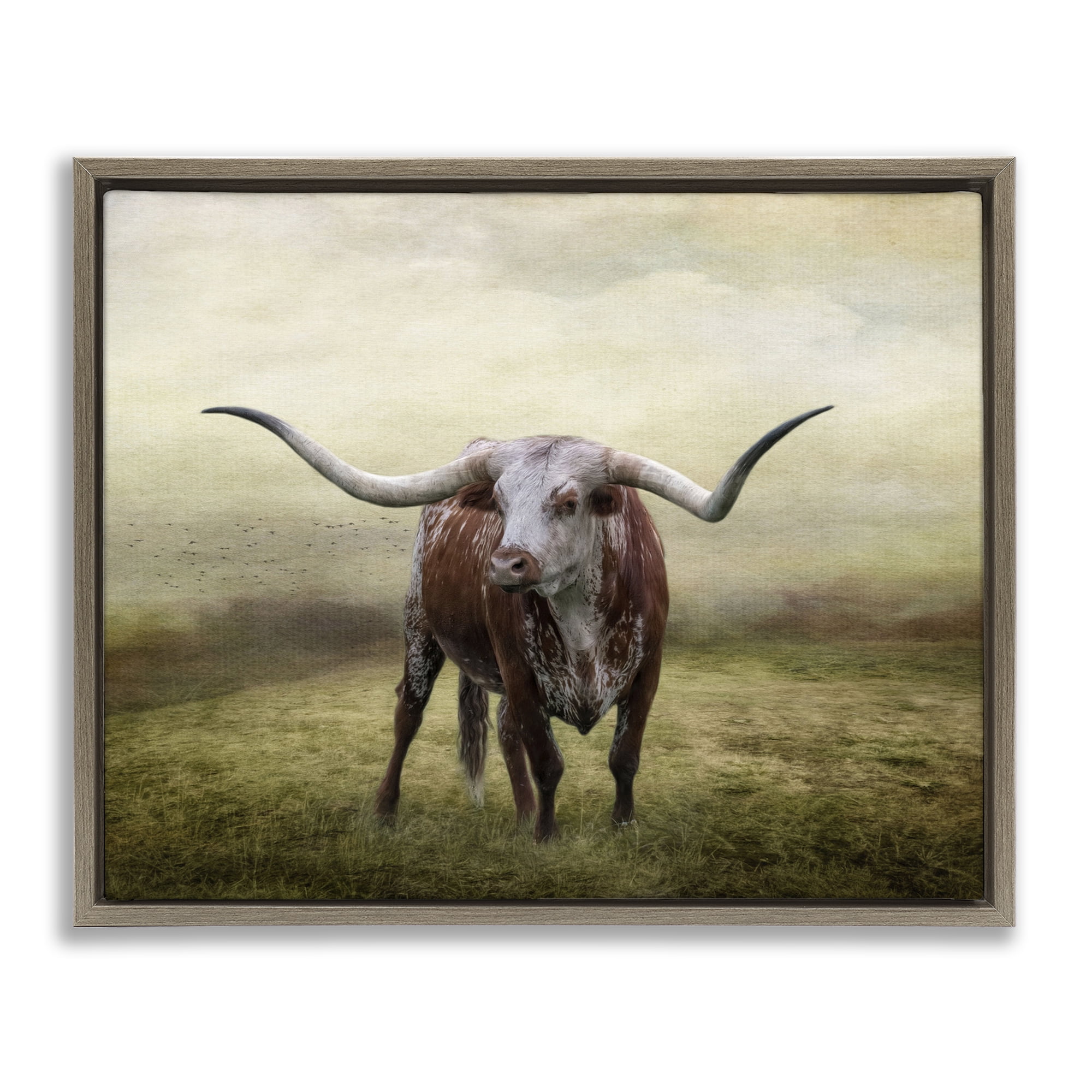 Stupell Industries Pride Of The Longhorn Animals & Insects Photography Brown Floater Framed Canvas Art Print Wall Art, 31 x 25