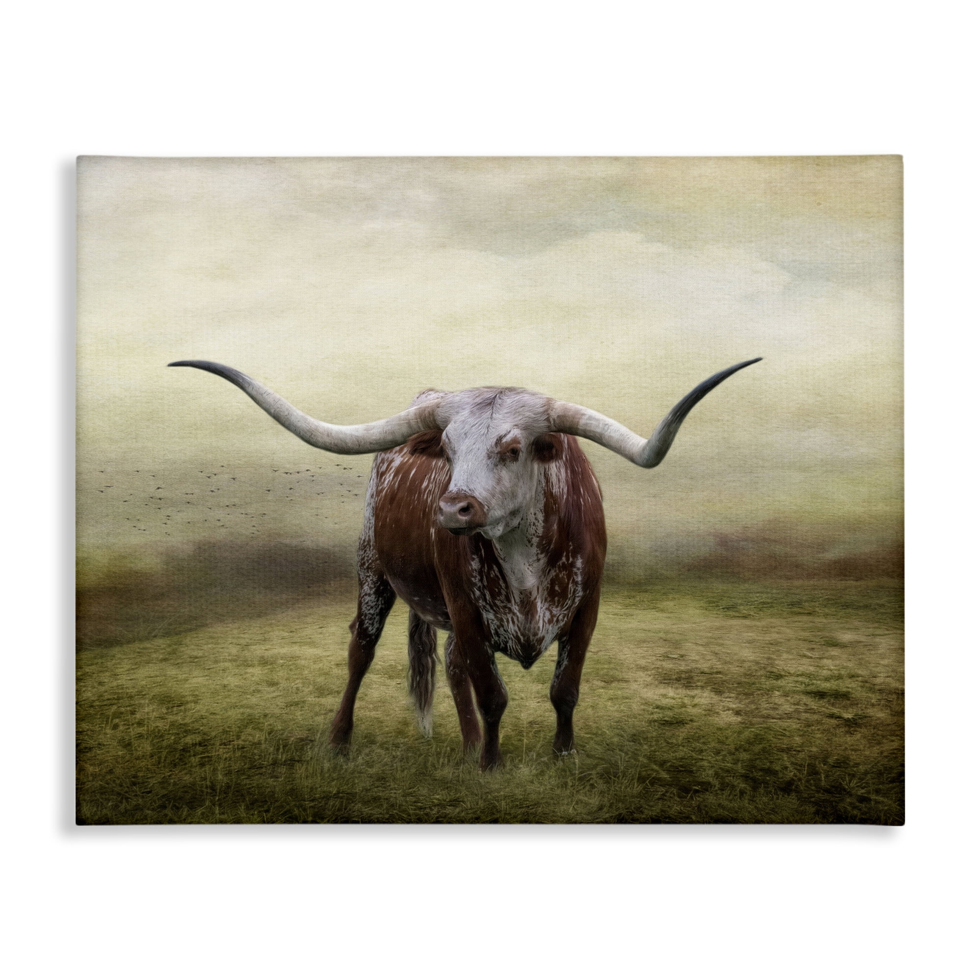 Stupell Industries Pride Of The Longhorn Animals & Insects Photography Gallery Wrapped Canvas Art Print Wall Art, 20 x 16