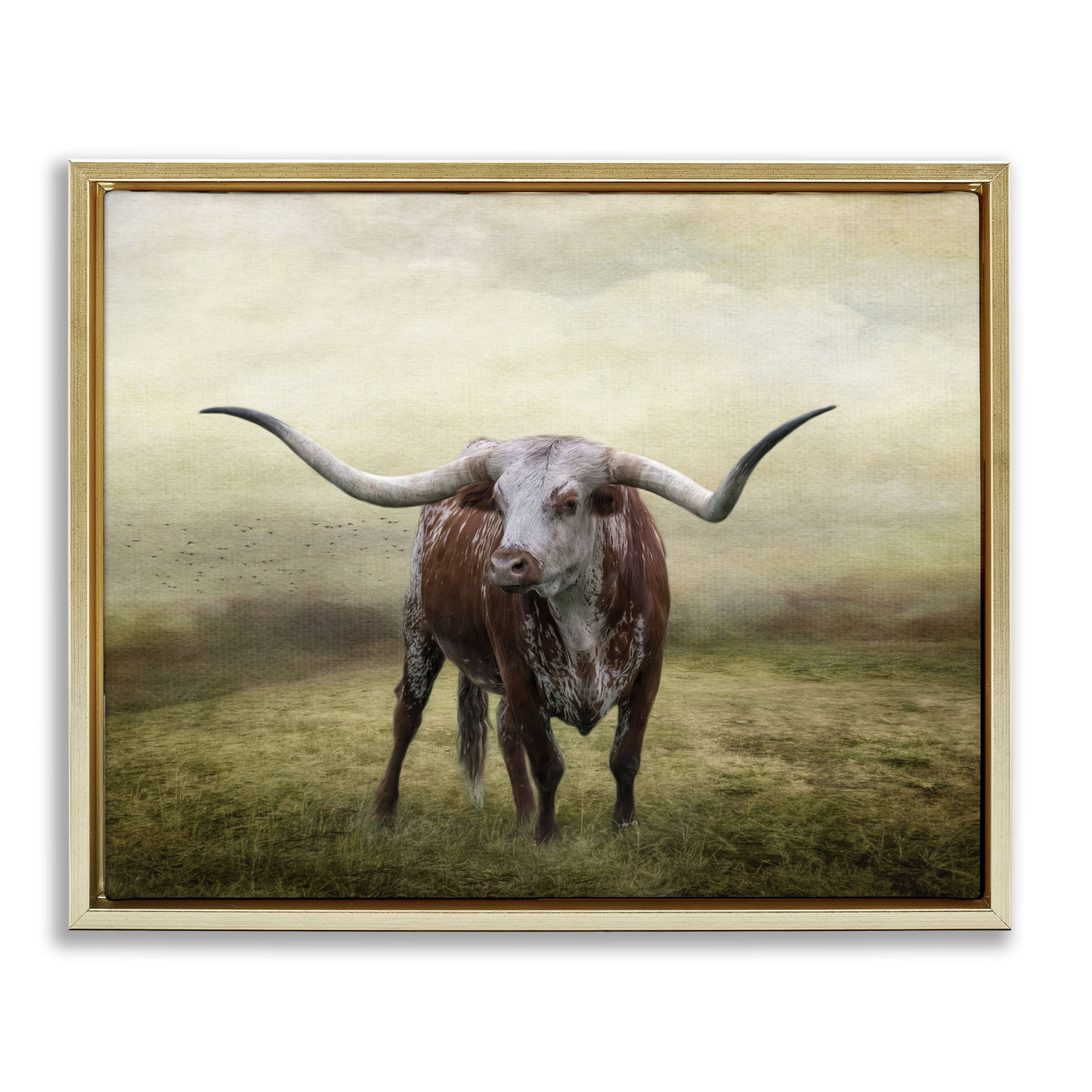 Stupell Industries Pride Of The Longhorn Animals & Insects Photography Gold Floater Framed Canvas Art Print Wall Art, 31 x 25