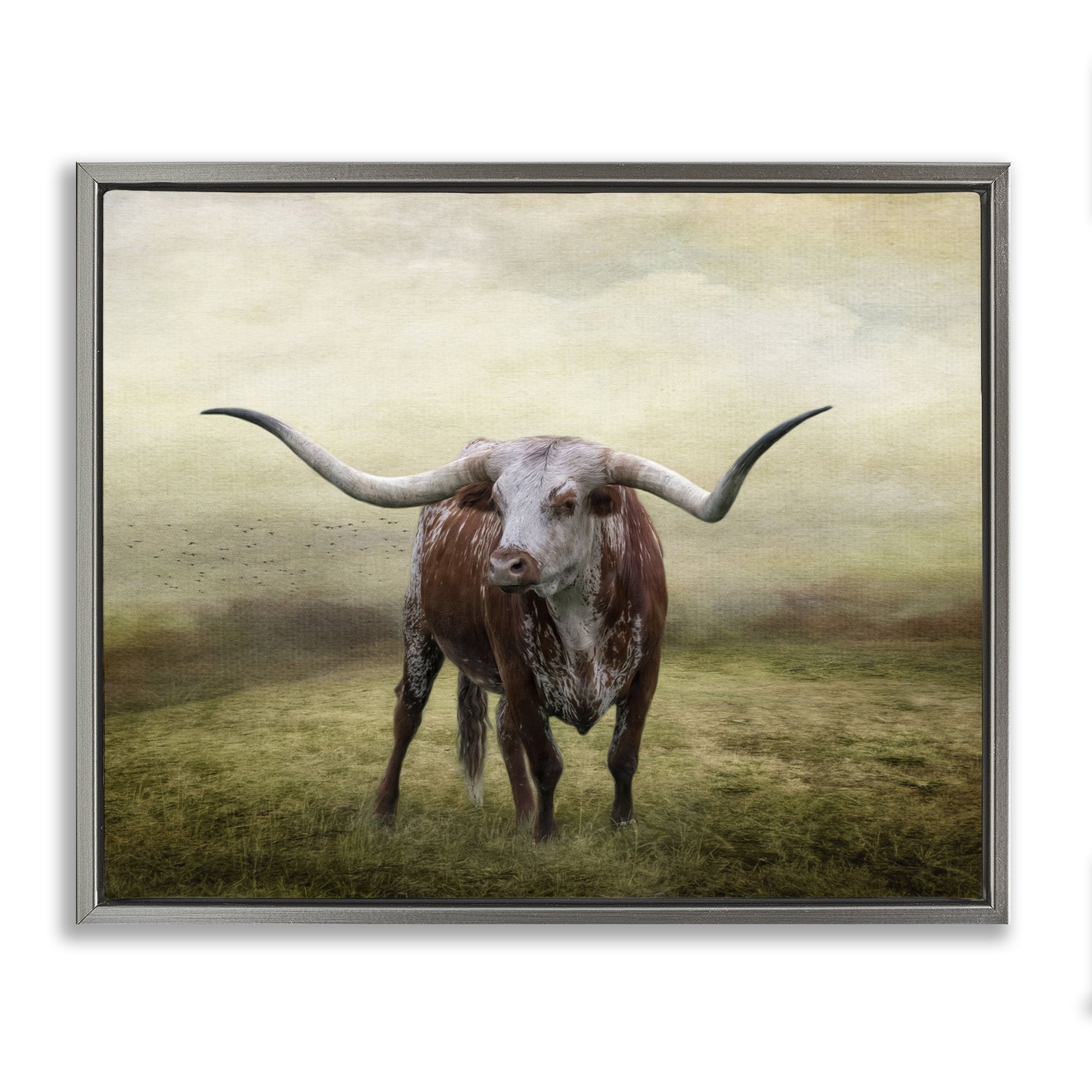 Stupell Industries Pride Of The Longhorn Animals & Insects Photography Gray Floater Framed Canvas Art Print Wall Art, 31 x 25