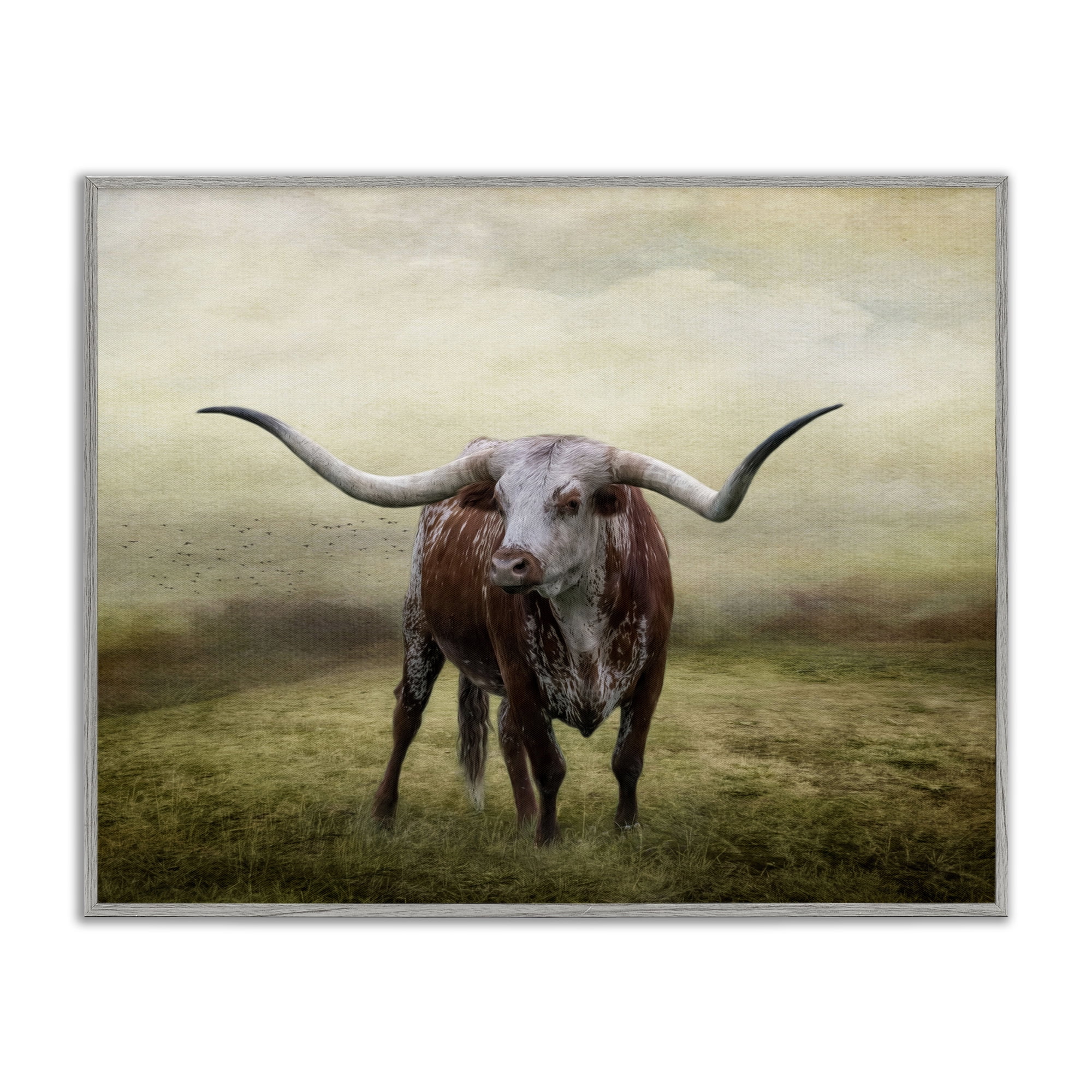 Stupell Industries Pride Of The Longhorn Animals & Insects Photography Gray Framed Art Print Wall Art, 20 x 16