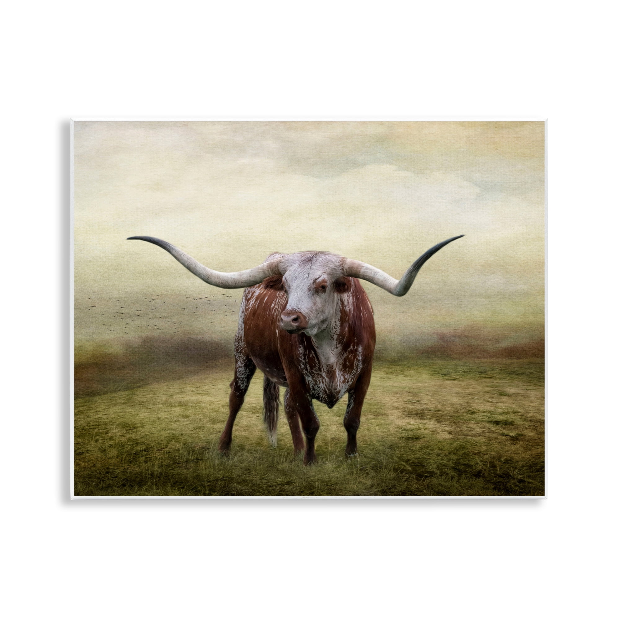 Stupell Industries Pride Of The Longhorn Animals & Insects Photography Unframed Art Print Wall Art, 14 x 11
