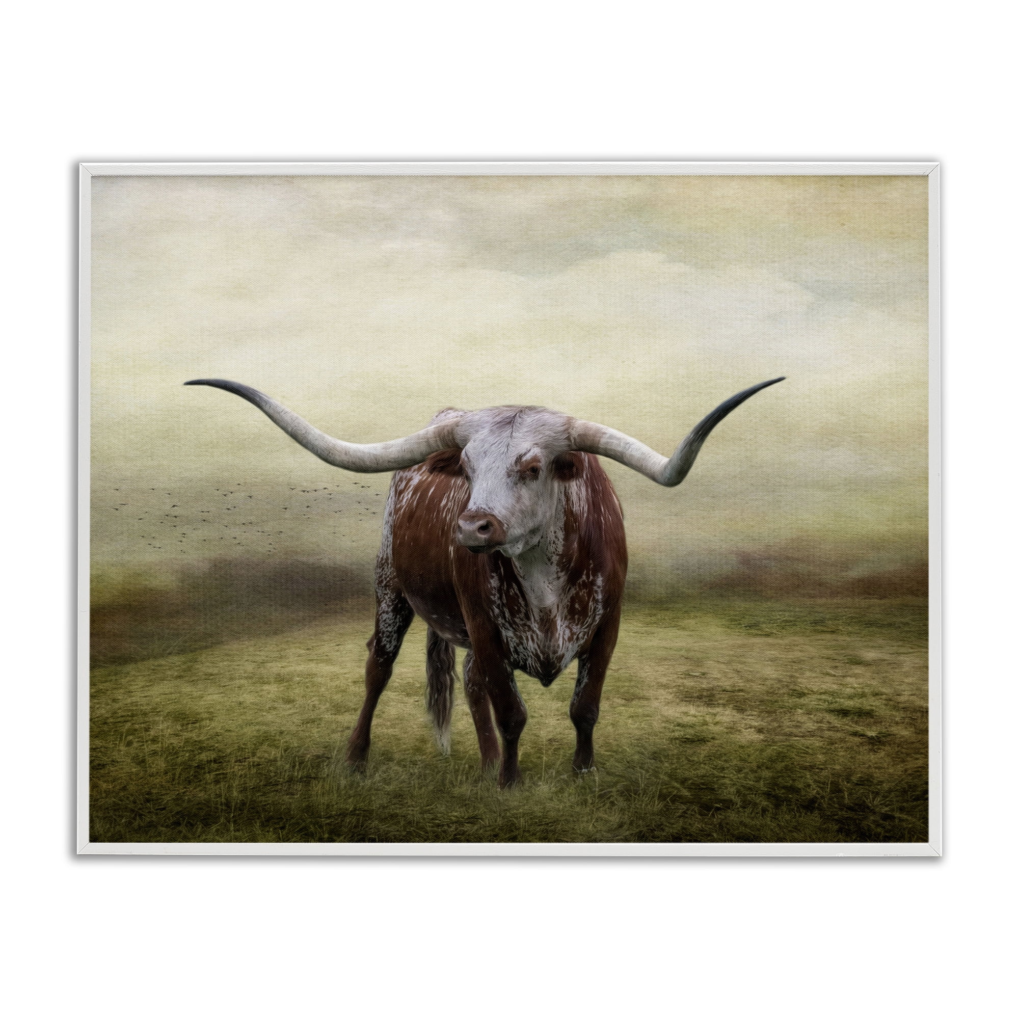 Stupell Industries Pride Of The Longhorn Animals & Insects Photography White Framed Art Print Wall Art, 14 x 11