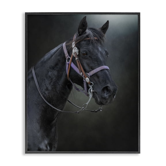 Stupell Industries Pride Of The Pasture Horse Black Framed Giclee Art design by Kelley Parker, 14 x 11