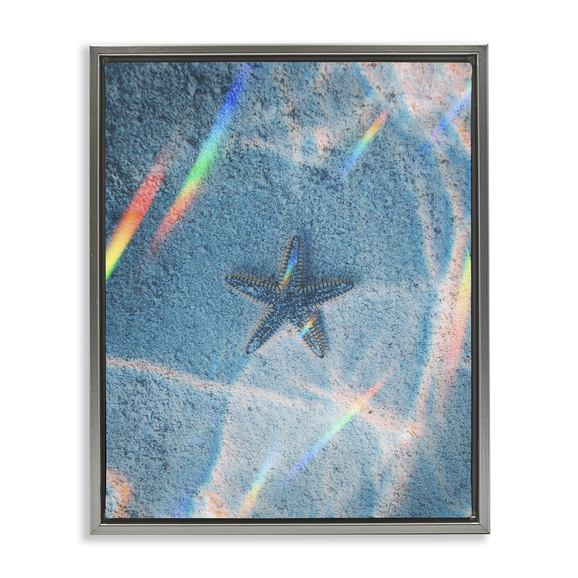 Stupell Industries Prismatic Starfish on Sea Floor Animals Photography Gray Floater Framed Canvas Art Print Wall Art, 25 x 31