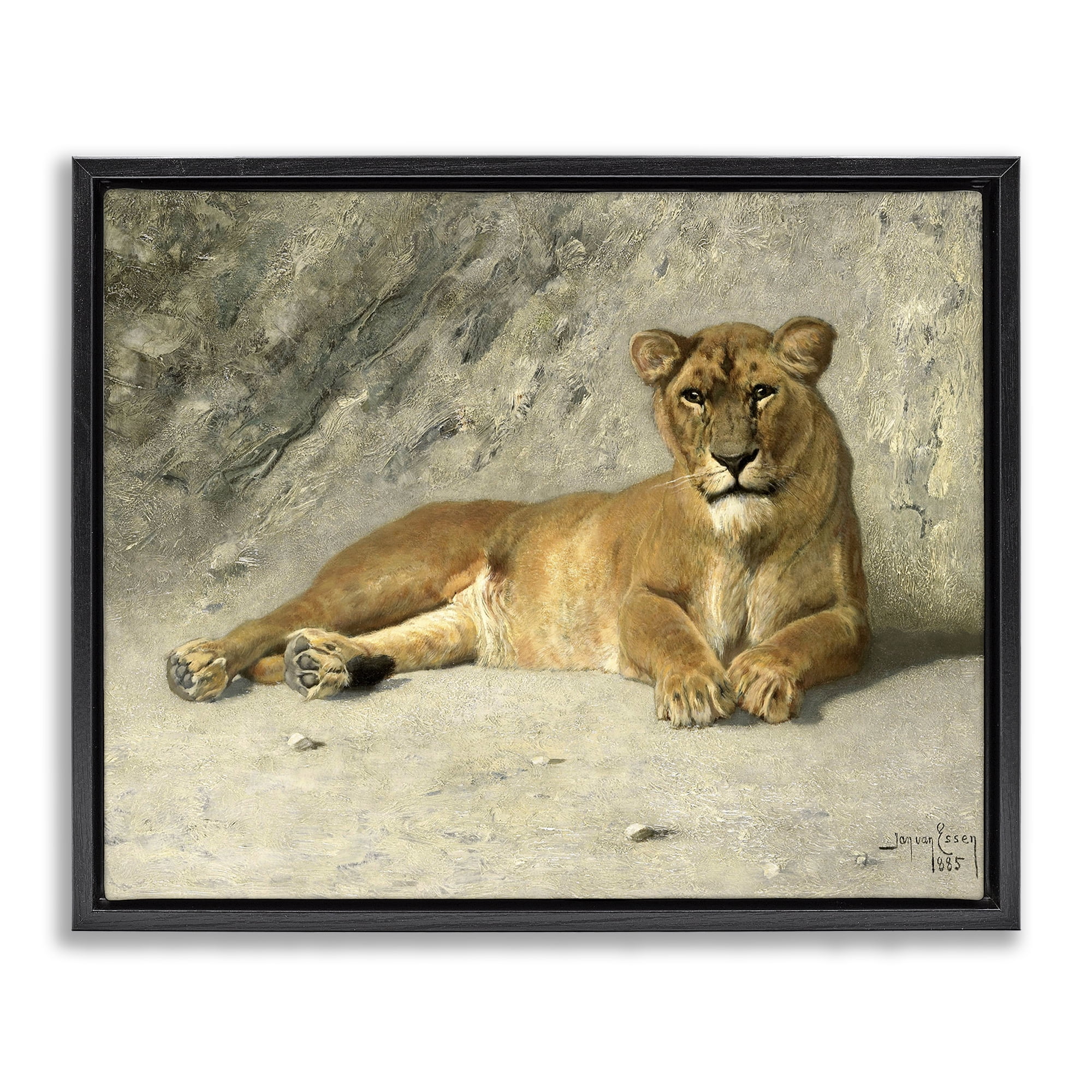 Stupell Industries Protective Wild Lion Animals Photography Black Floater Framed Canvas Art Print Wall Art, 31 x 25