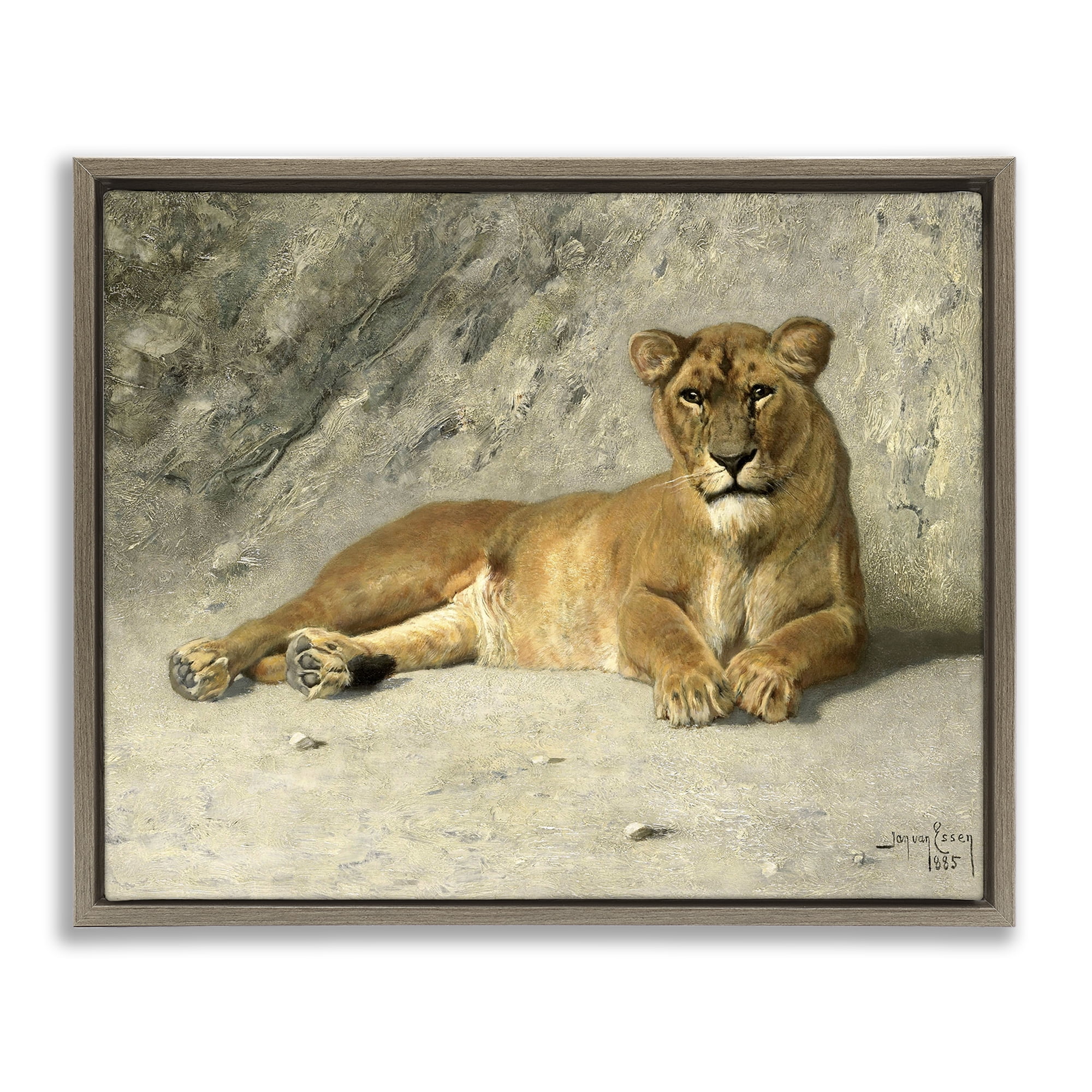 Stupell Industries Protective Wild Lion Animals Photography Brown Floater Framed Canvas Art Print Wall Art, 31 x 25