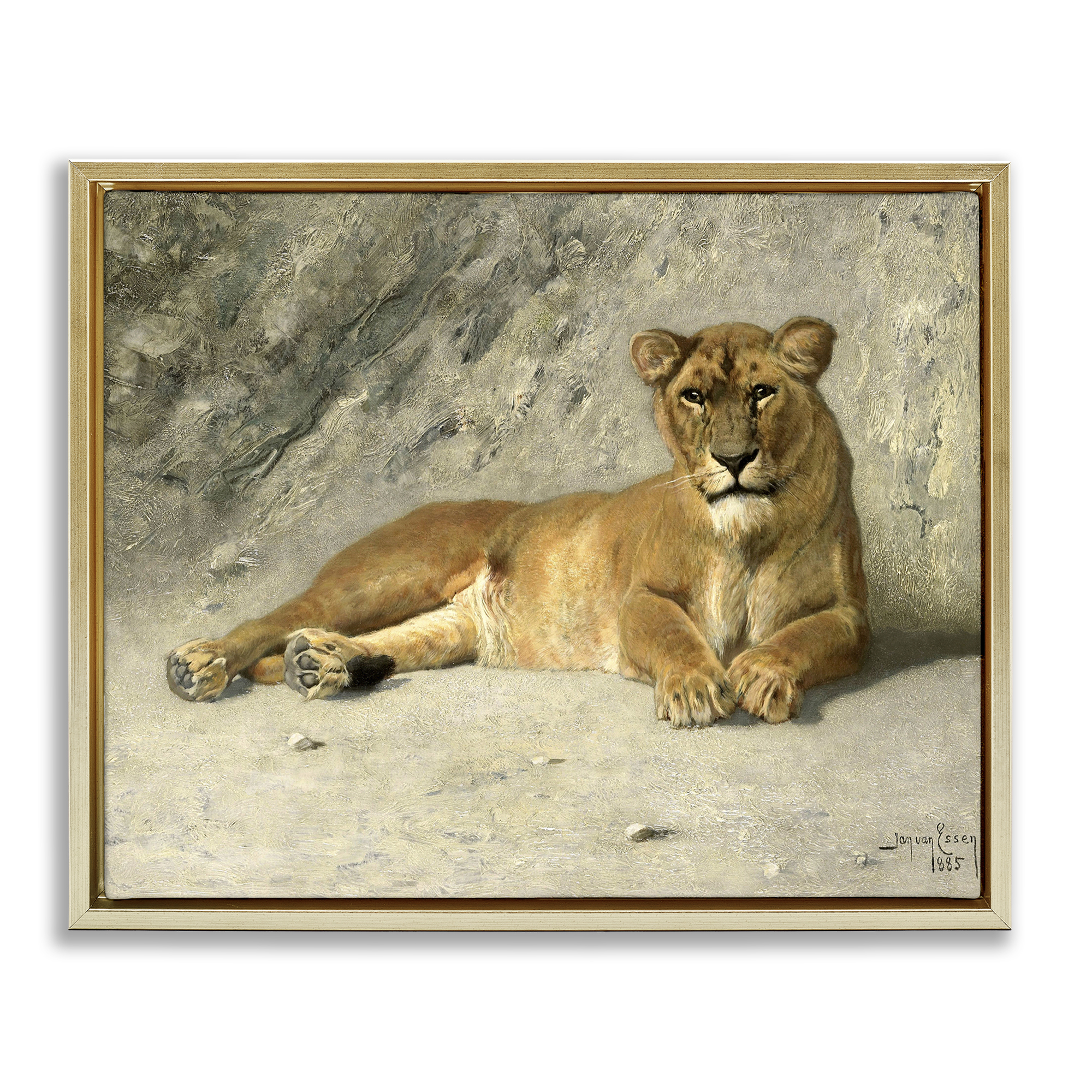 Stupell Industries Protective Wild Lion Animals Photography Gold Floater Framed Canvas Art Print Wall Art, 31 x 25