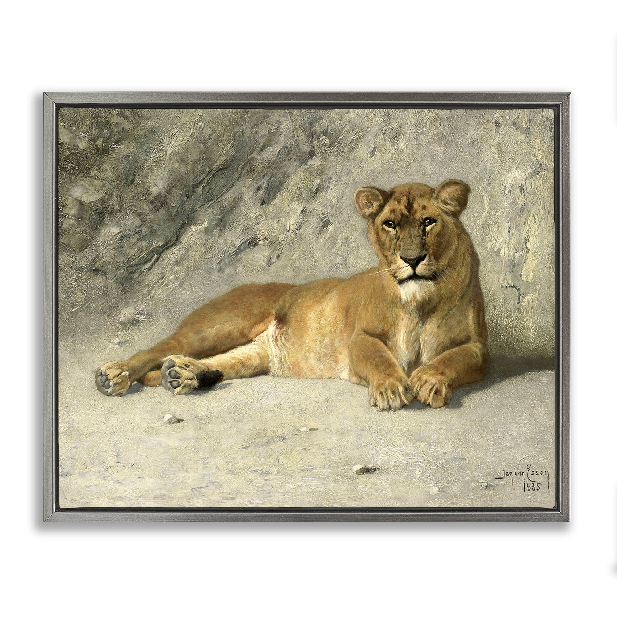 Stupell Industries Protective Wild Lion Animals Photography Gray Floater Framed Canvas Art Print Wall Art, 21 x 17
