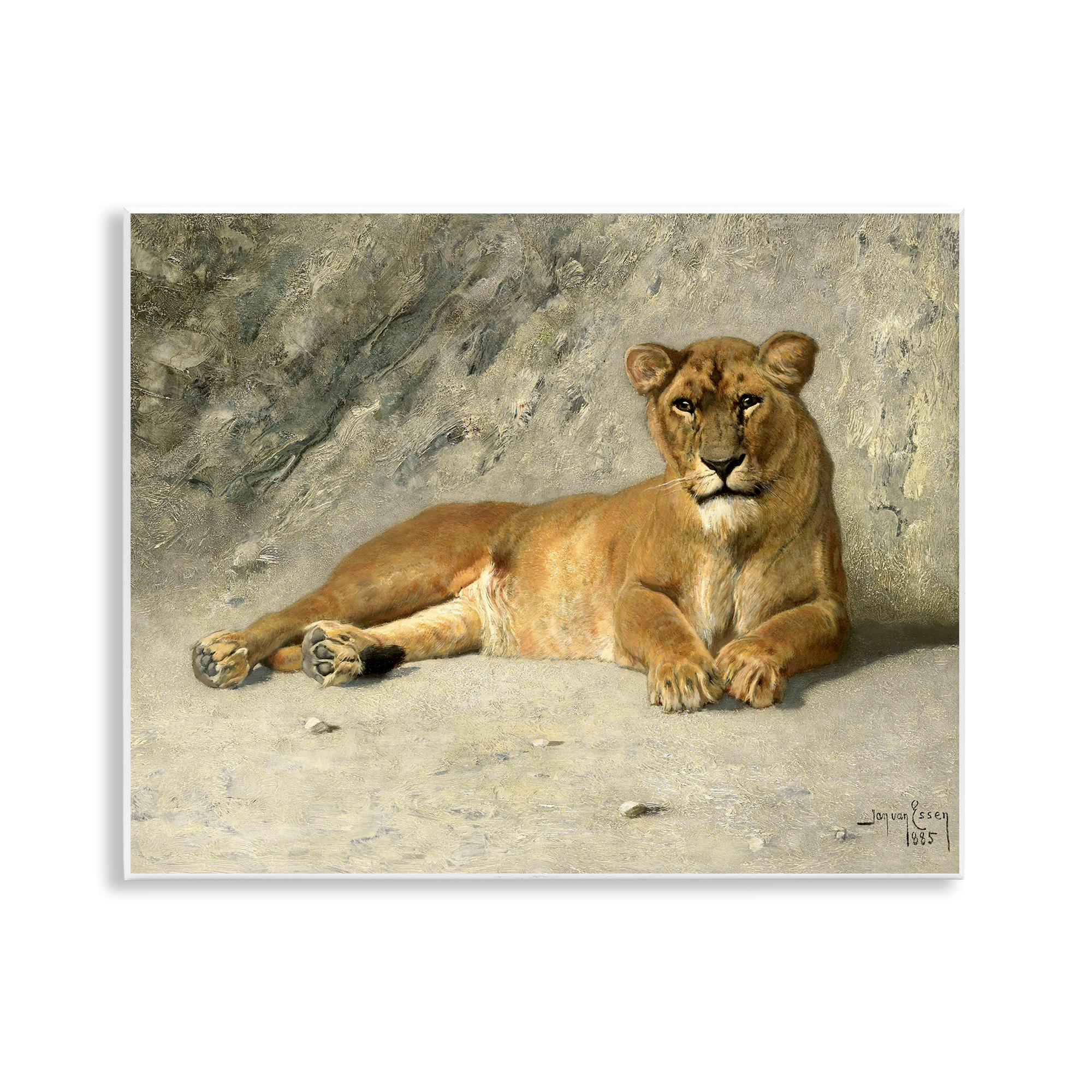 Stupell Industries Protective Wild Lion Animals Photography Unframed Art Print Wall Art, 14 x 11