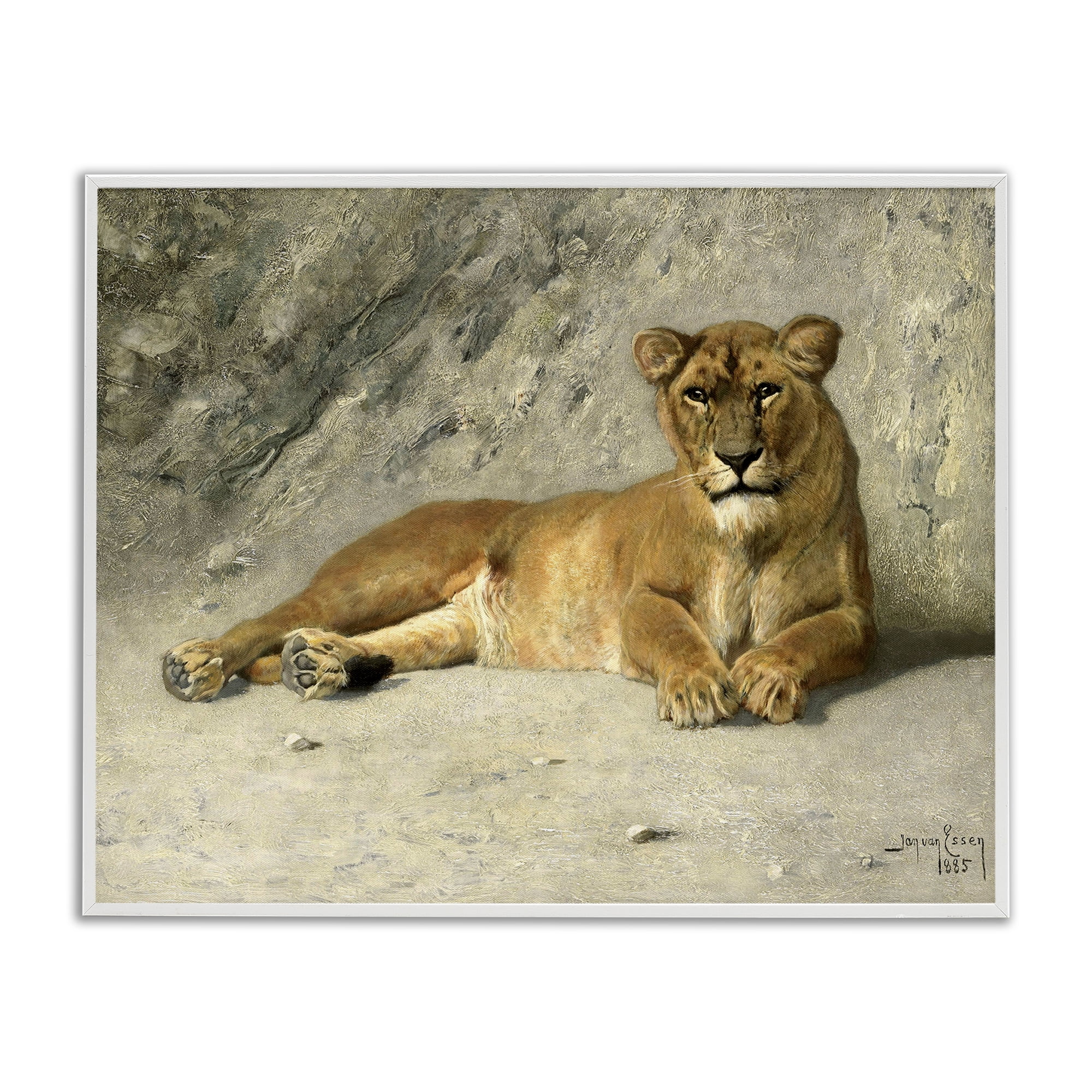Stupell Industries Protective Wild Lion Animals Photography White Framed Art Print Wall Art, 20 x 16