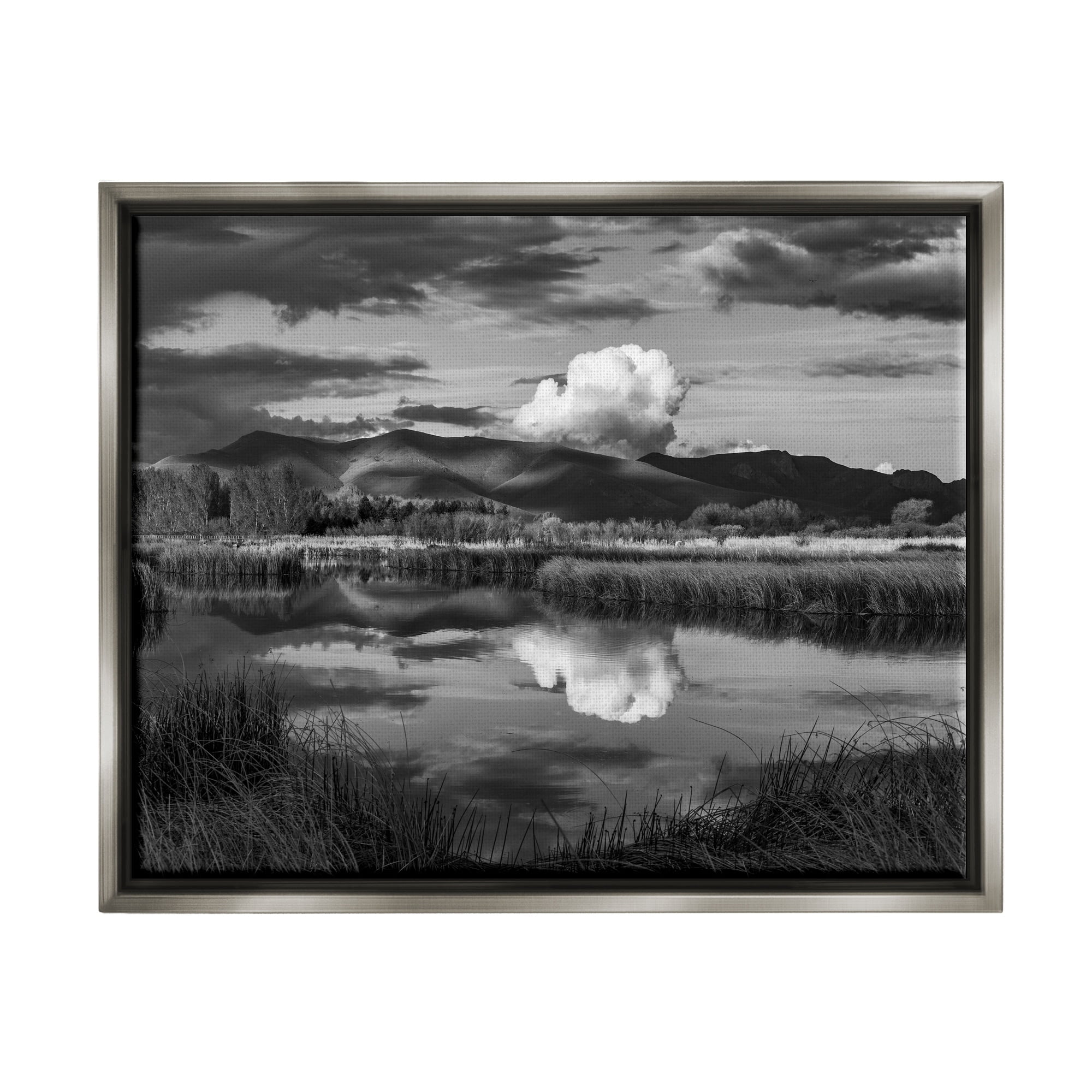 Stupell Industries Puffy Cloud Over Mountain Grassy Marsh Landscape Photograph Luster Gray Floating Framed Canvas Print Wall Art, Design by Steve Smith
