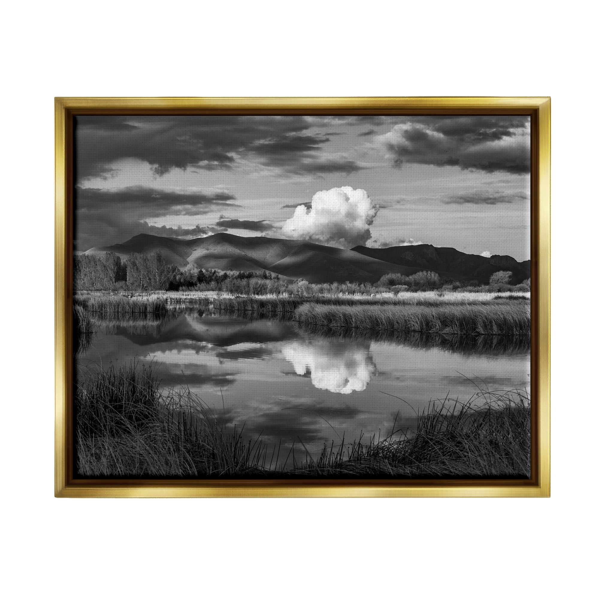 Stupell Industries Puffy Cloud Over Mountain Grassy Marsh Landscape Photograph Metallic Gold Floating Framed Canvas Print Wall Art, Design by Steve Smith