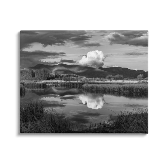 Stupell Industries Puffy Cloud Over Mountain Grassy Marsh Landscape Photograph Gallery Wrapped Canvas Print Wall Art, Design by Steve Smith