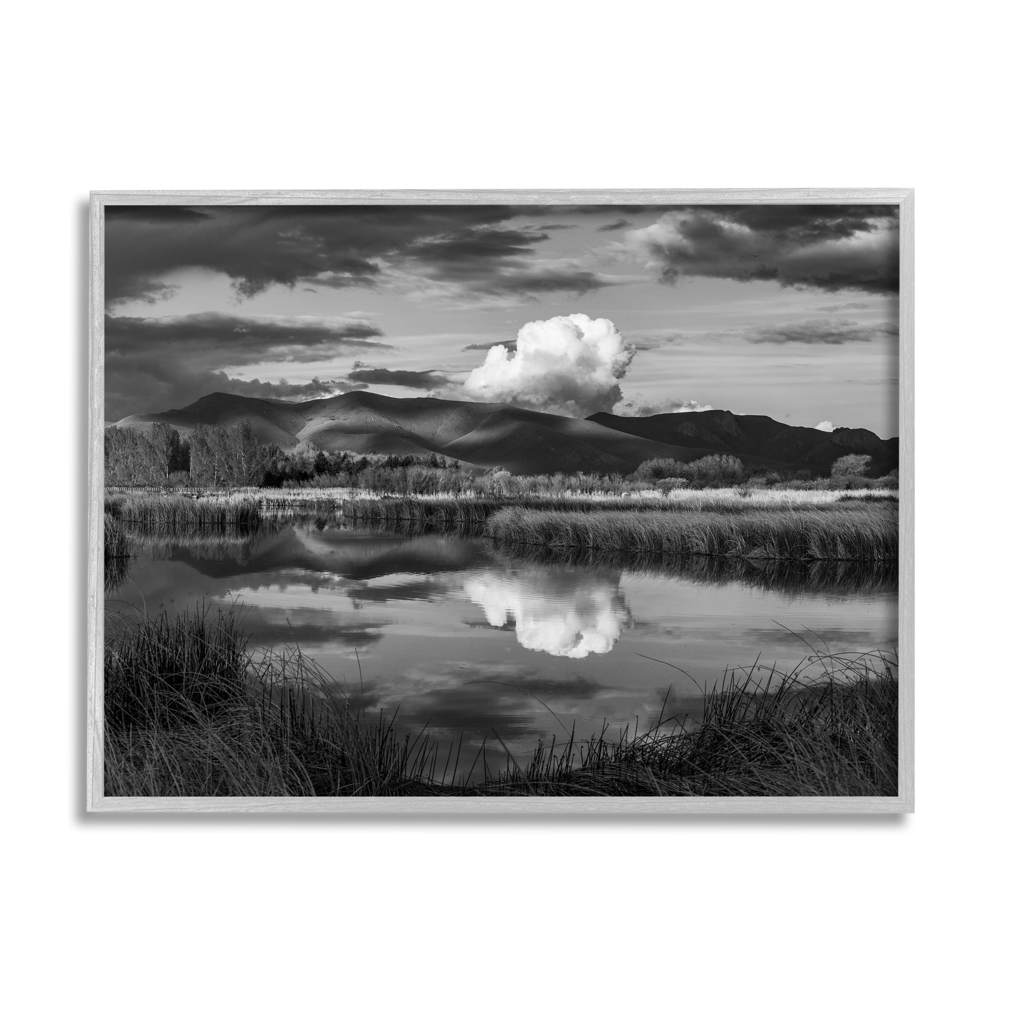 Stupell Industries Puffy Cloud Over Mountain Grassy Marsh Landscape Photograph Gray Framed Art Print Wall Art, Design by Steve Smith