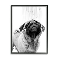 Stupell Industries Pug Bathroom Splash Animals & Insects Painting Black Framed Art Print Wall Art, 11 x 14