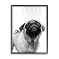 thumbnail image 1 of Stupell Industries Pug Bathroom Splash Animals & Insects Painting Black Framed Art Print Wall Art, 24 x 30, 1 of 9