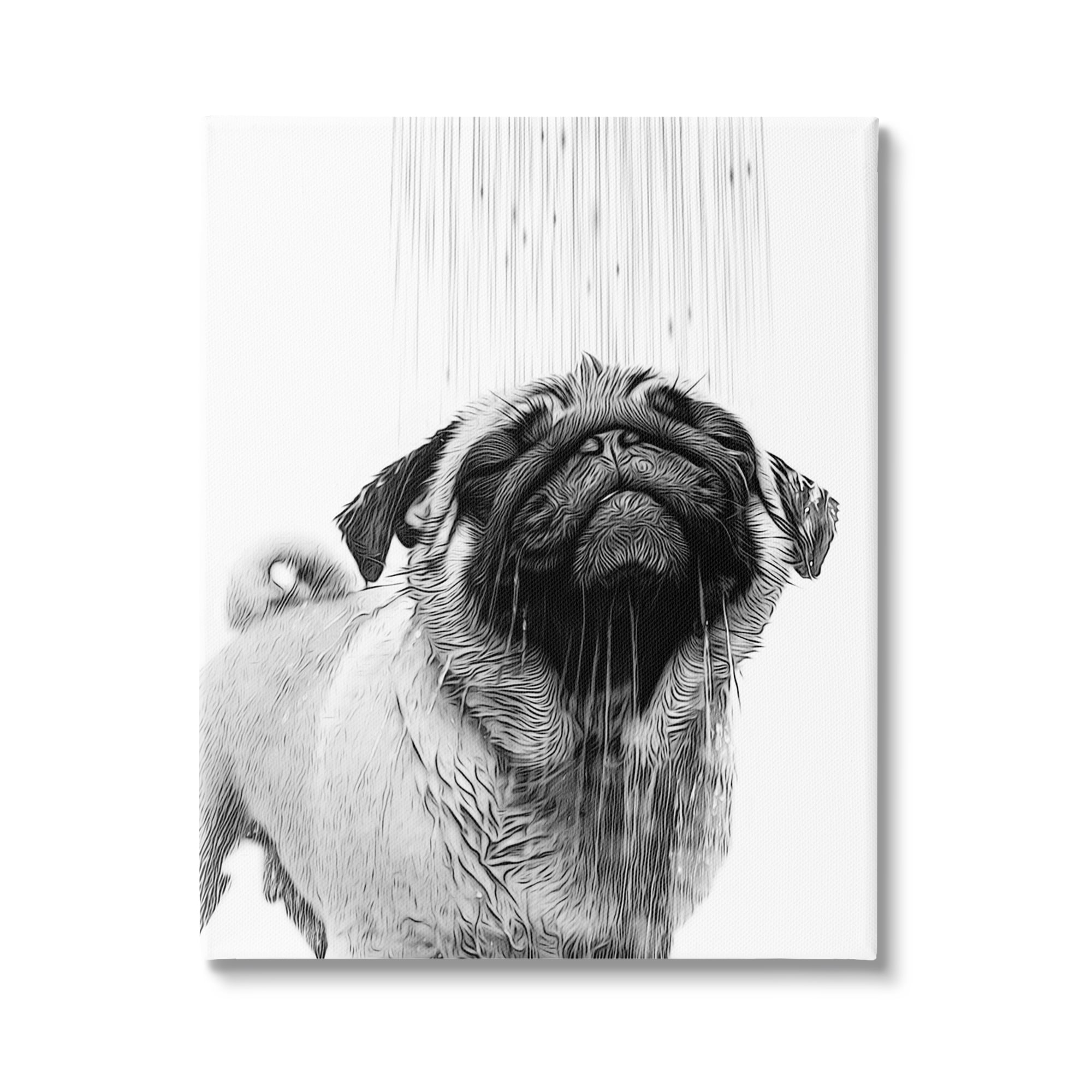 Stupell Industries Pug Bathroom Splash Animals & Insects Painting Gallery Wrapped Canvas Art Print Wall Art, 24 x 30