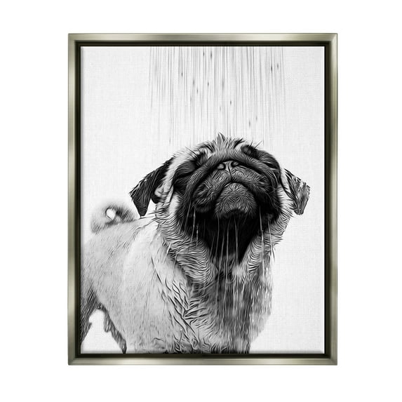 Stupell Industries Pug Bathroom Splash Animals & Insects Painting Gray Floater Framed Canvas Art Print Wall Art, 17 x 21