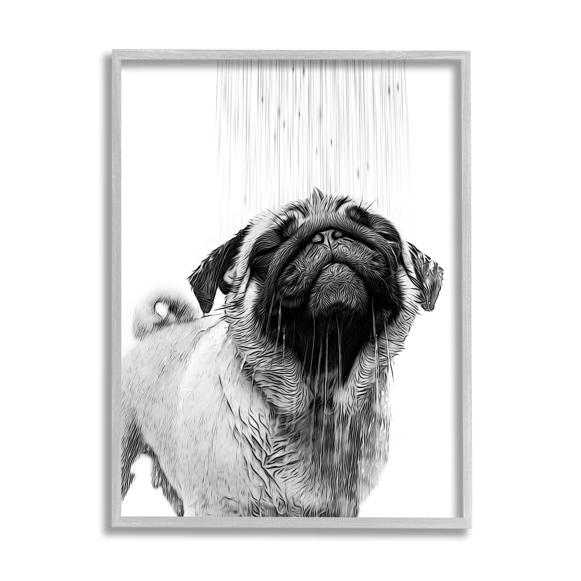 Stupell Industries Pug Bathroom Splash Animals & Insects Painting Gray Framed Art Print Wall Art, 24 x 30