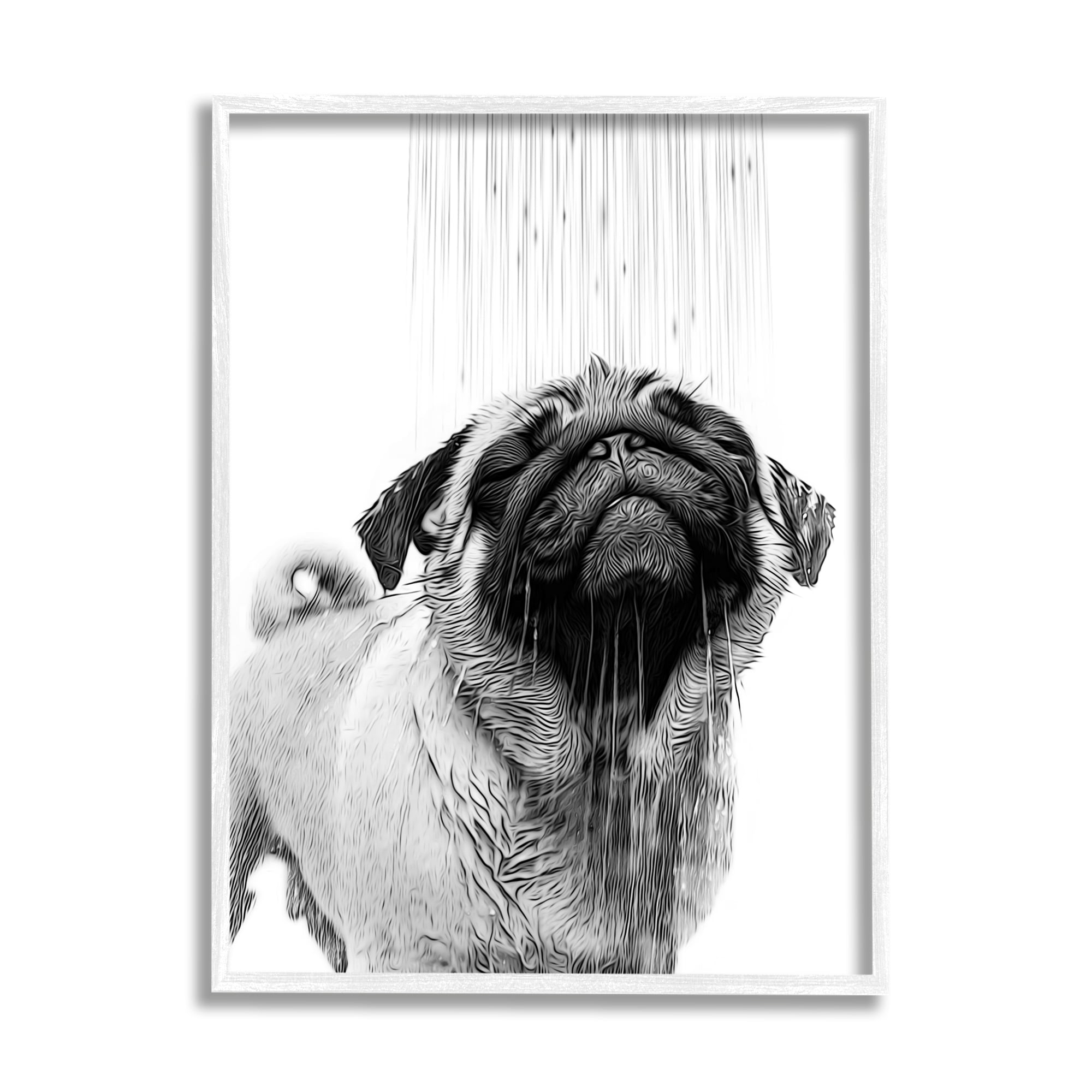 Stupell Industries Pug Bathroom Splash Animals & Insects Painting White Framed Art Print Wall Art, 11 x 14