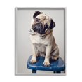 thumbnail image 1 of Stupell Industries Pug Bow Tie Blue Stool Pet Portrait Photography, 11 x 14, Design by Michele Reed, 1 of 5