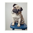 thumbnail image 1 of Stupell Industries Pug Bow Tie Blue Stool Pet Portrait Photography, 13 x 19, Design by Michele Reed, 1 of 5