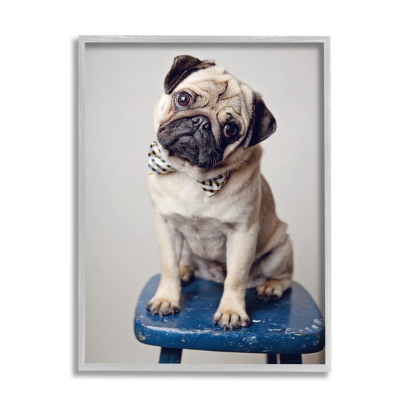 Stupell Industries Pug Bow Tie Blue Stool Pet Portrait Photography, 16 x 20, Design by Michele Reed