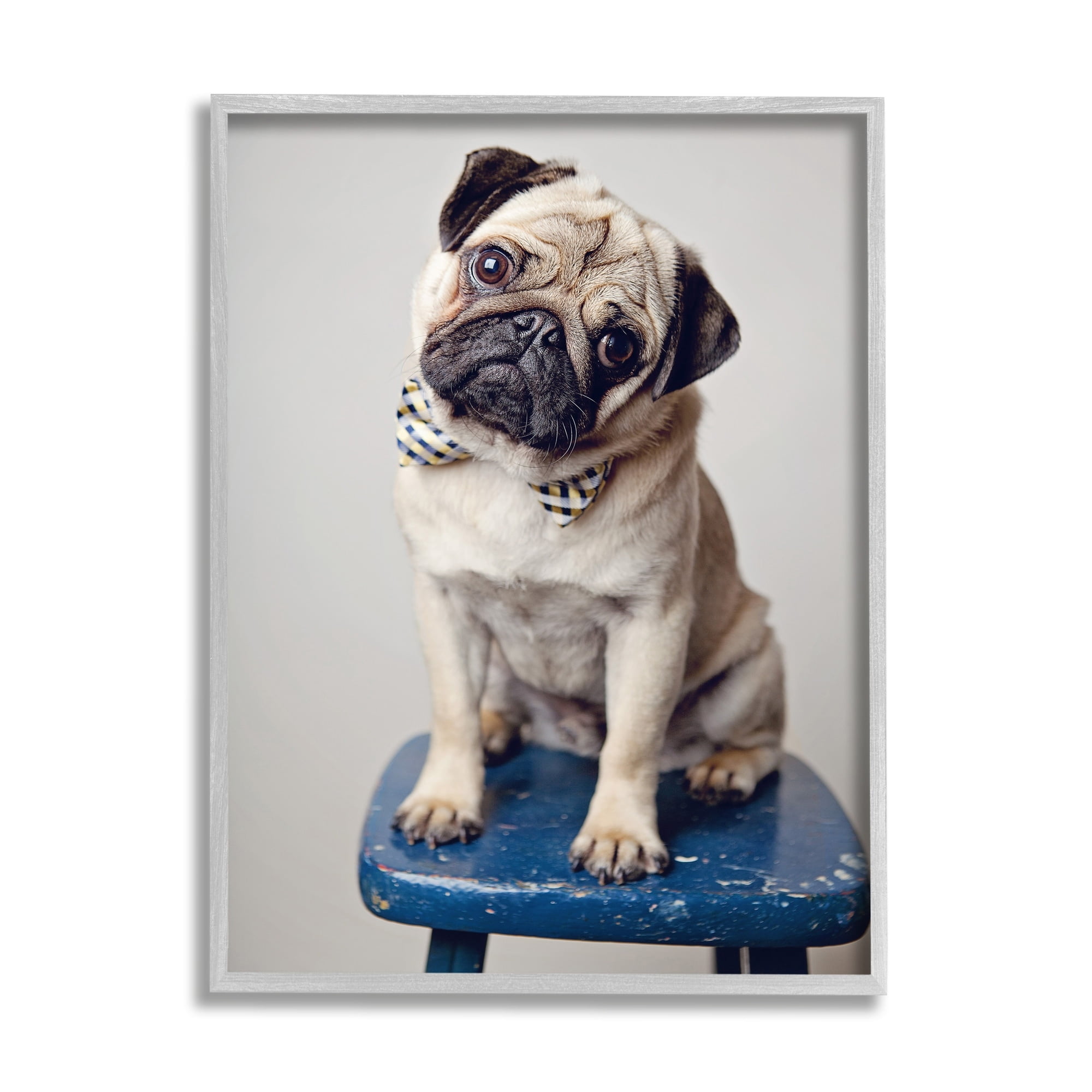 Stupell Industries Pug Bow Tie Blue Stool Pet Portrait Photography, 24 x 30, Design by Michele Reed