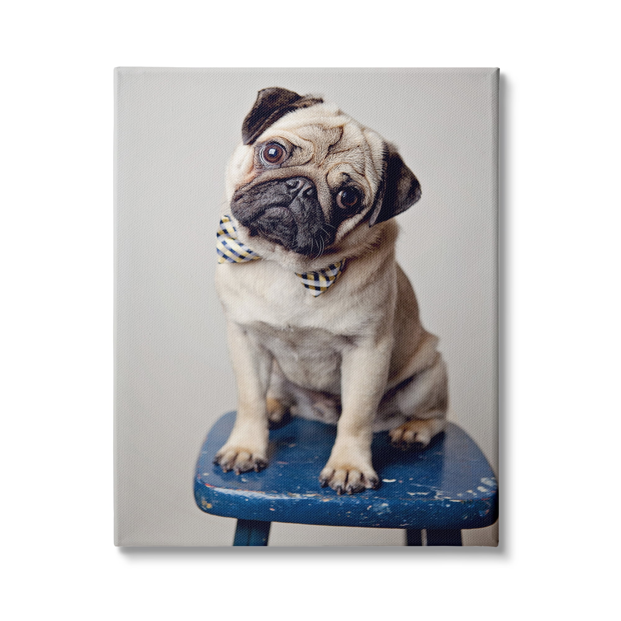 Stupell Industries Pug Bow Tie Blue Stool Pet Portrait Photography, 24 x 30, Design by Michele Reed