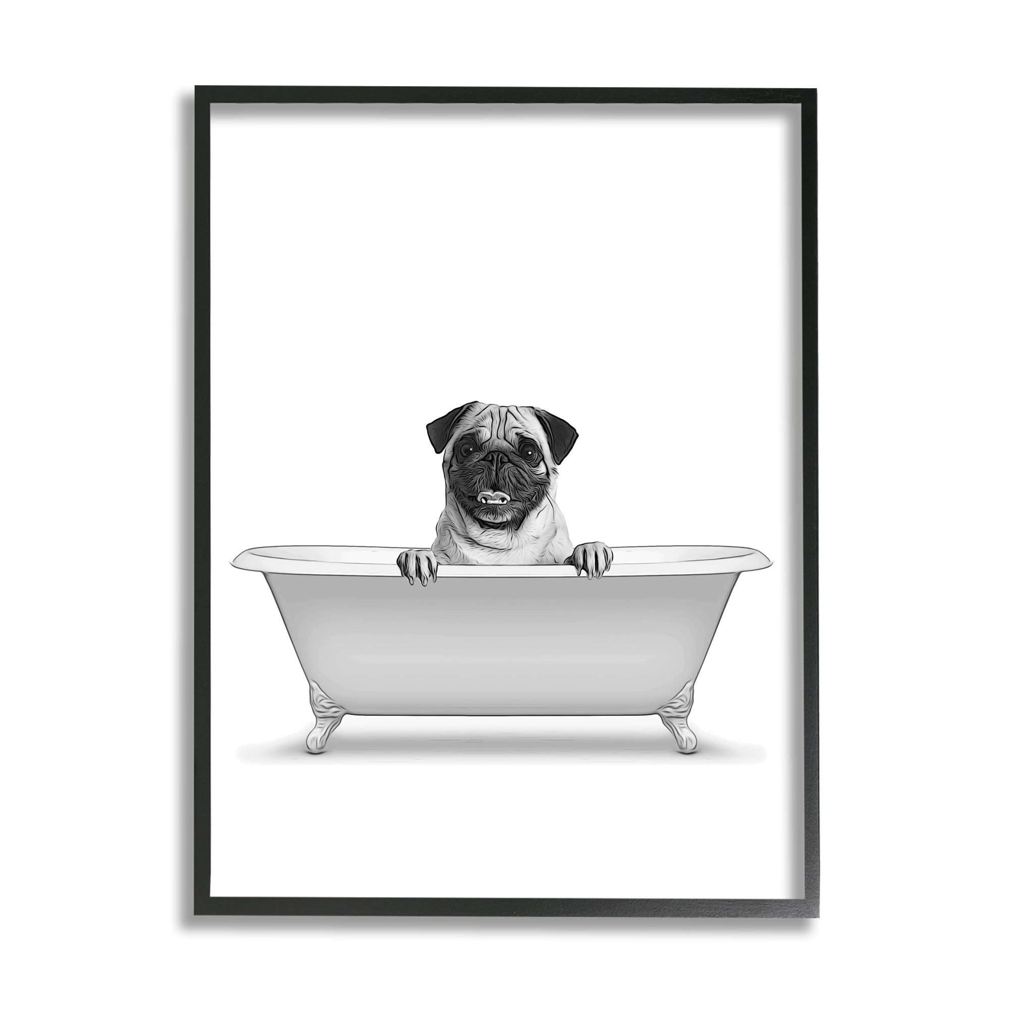 Black Framed Canvas Print of Pug Dog in Bathtub