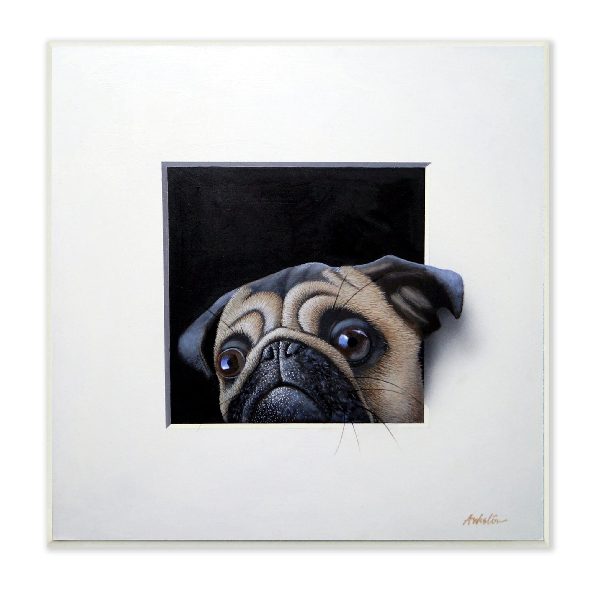 Stupell Industries Pug Peeking Optical Illusion Square Detailed Painting Painting Unframed Art Print Wall Art, Design by Alan Weston