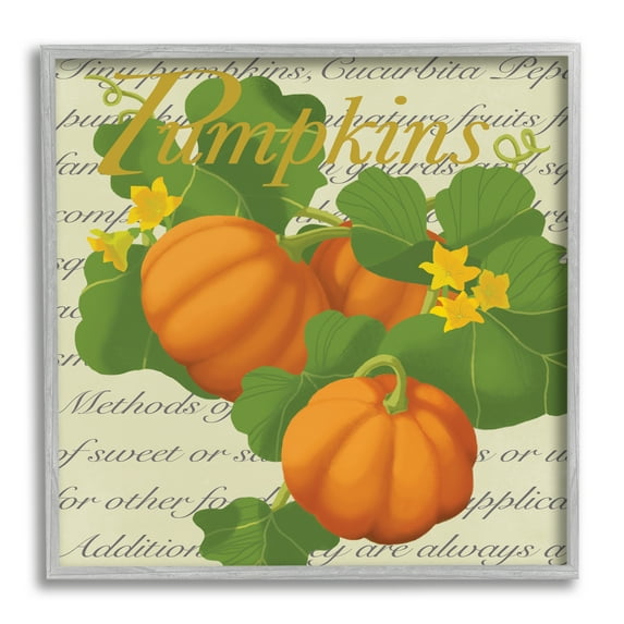 Stupell Industries Pumpkin Floral Gourd Plants Vintage Typography, 12 x 12, Designed by Sally Springer Griffith