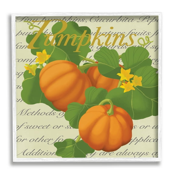 Stupell Industries Pumpkin Floral Gourd Plants Vintage Typography, 24 x 24, Designed by Sally Springer Griffith
