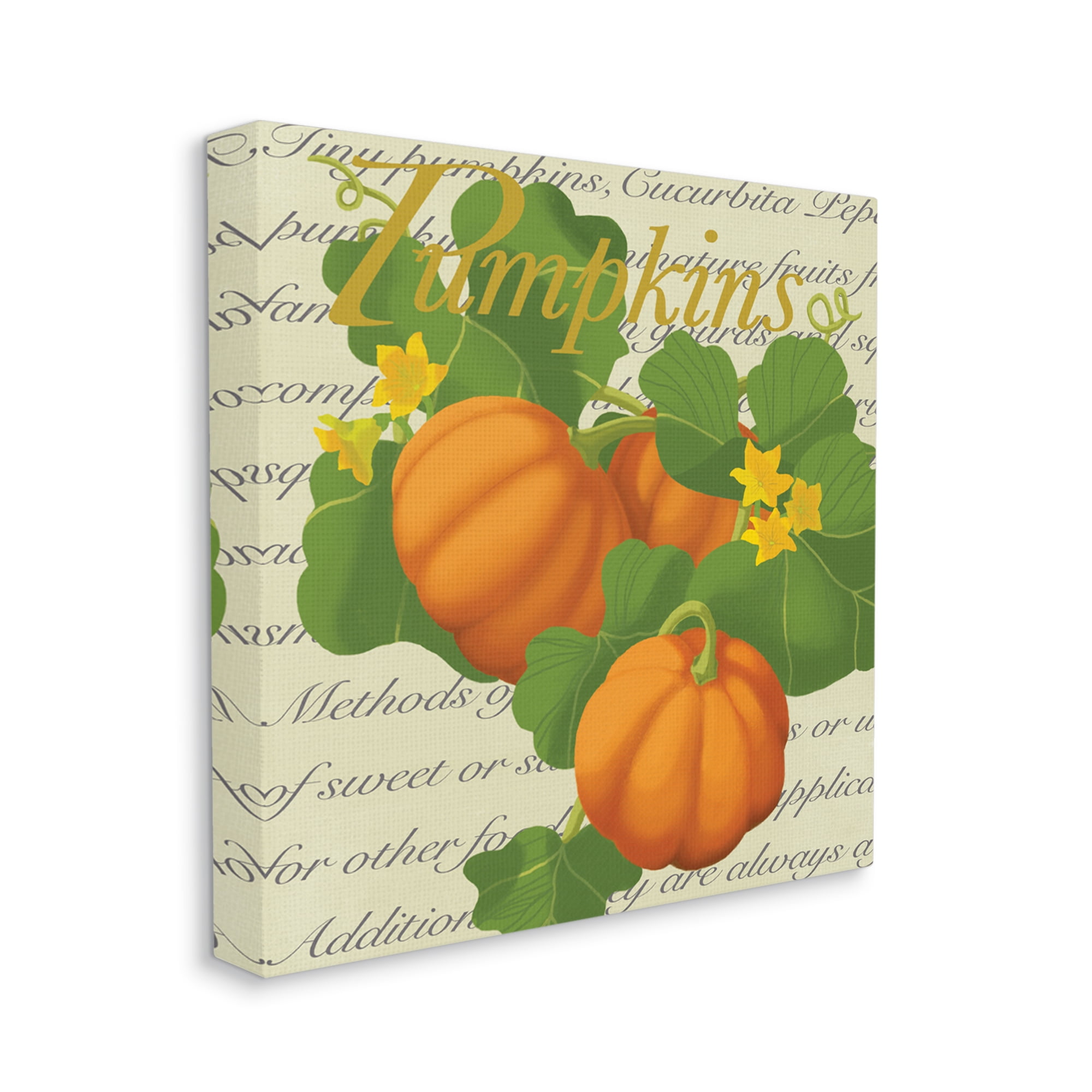 Stupell Industries Pumpkin Floral Gourd Plants Vintage Typography, 24 x 24, Designed by Sally Springer Griffith