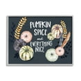thumbnail image 1 of Stupell Industries Pumpkin Spice Everything Nice Phrase Autumn Harvest Feathers Graphic Art Gray Framed Art Print Wall Art, 16x20, by Jennifer Paxton Parker, 1 of 6