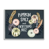 Stupell Industries Pumpkin Spice Everything Nice Phrase Autumn Harvest Feathers Graphic Art Gray Framed Art Print Wall Art, 11x14, by Jennifer Paxton Parker