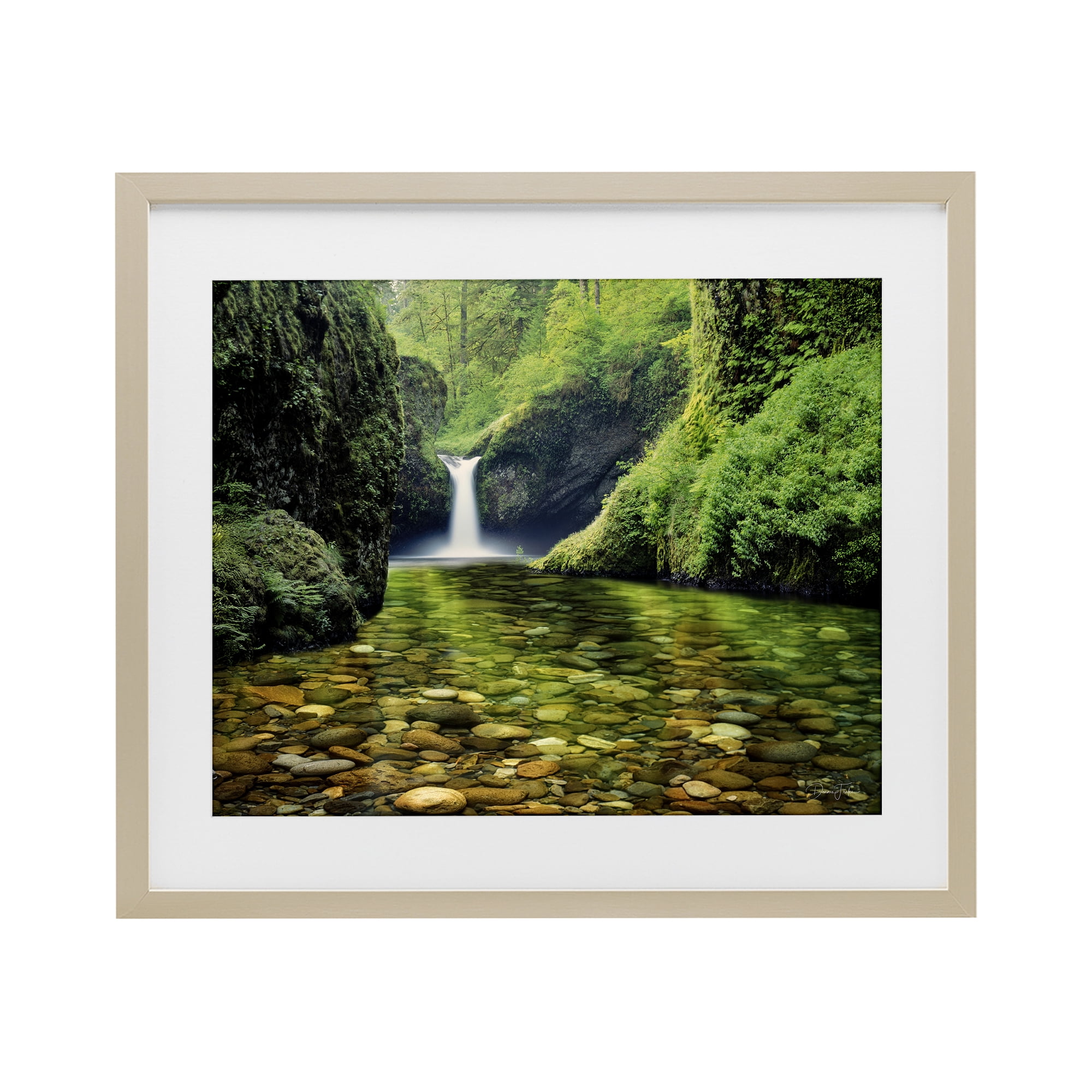 Stupell Industries Punchbowl Falls in Emerald Forest Birch Framed Print Under Glass, design by Dennis Frates
