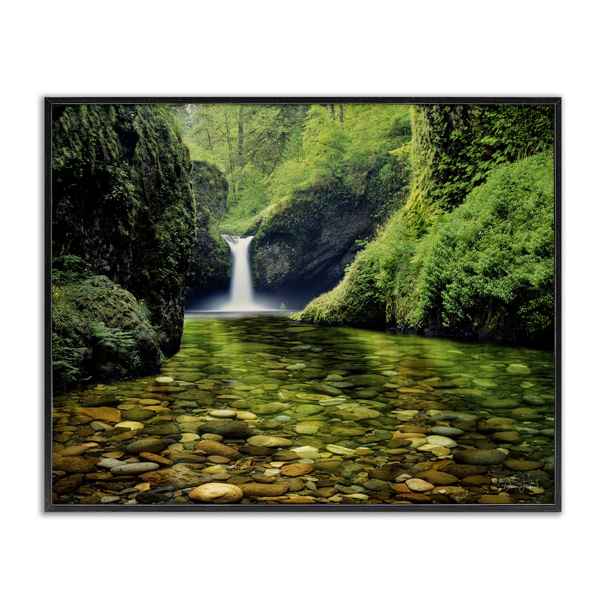 Stupell Industries Punchbowl Falls in Emerald Forest Black Framed Giclee Art, design by Dennis Frates