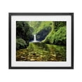 thumbnail image 1 of Stupell Industries Southwestern Punchbowl Falls in Emerald Forest Black Framed Print Under Glass, 21 x 17, by Dennis Frates, 1 of 8