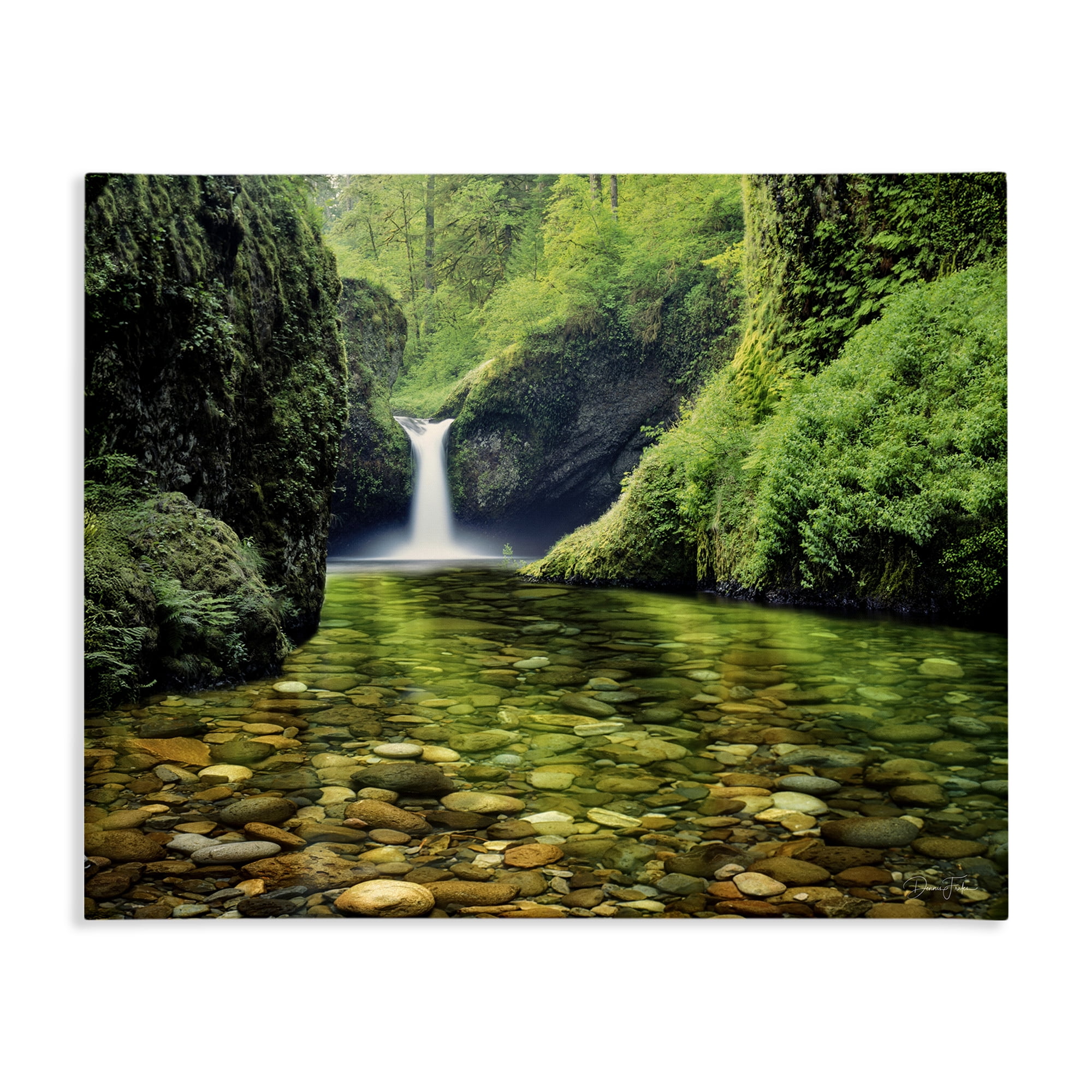 Stupell Industries Punchbowl Falls in Emerald Forest Canvas Wall Art, design by Dennis Frates